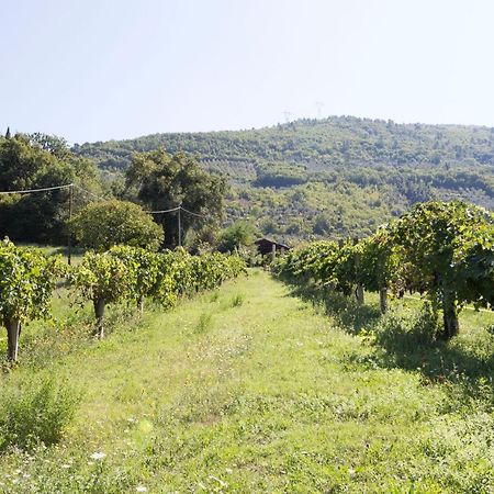 Agriturismo I Melograni Ferentillo Extérieur photo
