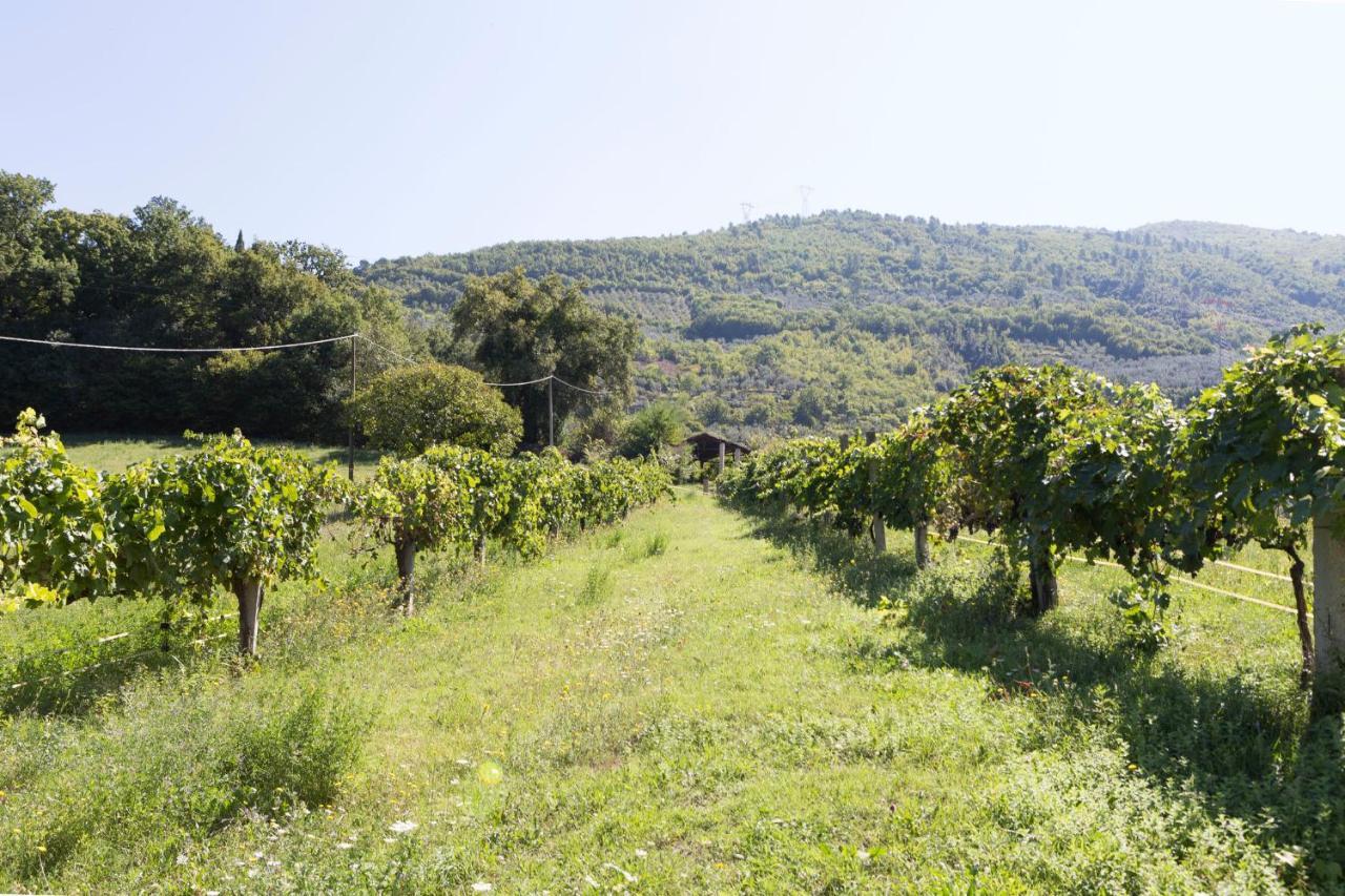 Agriturismo I Melograni Ferentillo Extérieur photo