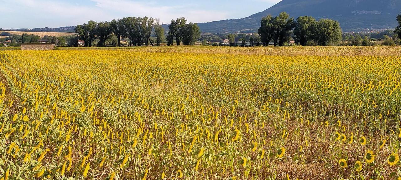 Agriturismo I Melograni Ferentillo Extérieur photo