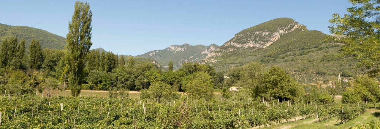 Agriturismo I Melograni Ferentillo Extérieur photo