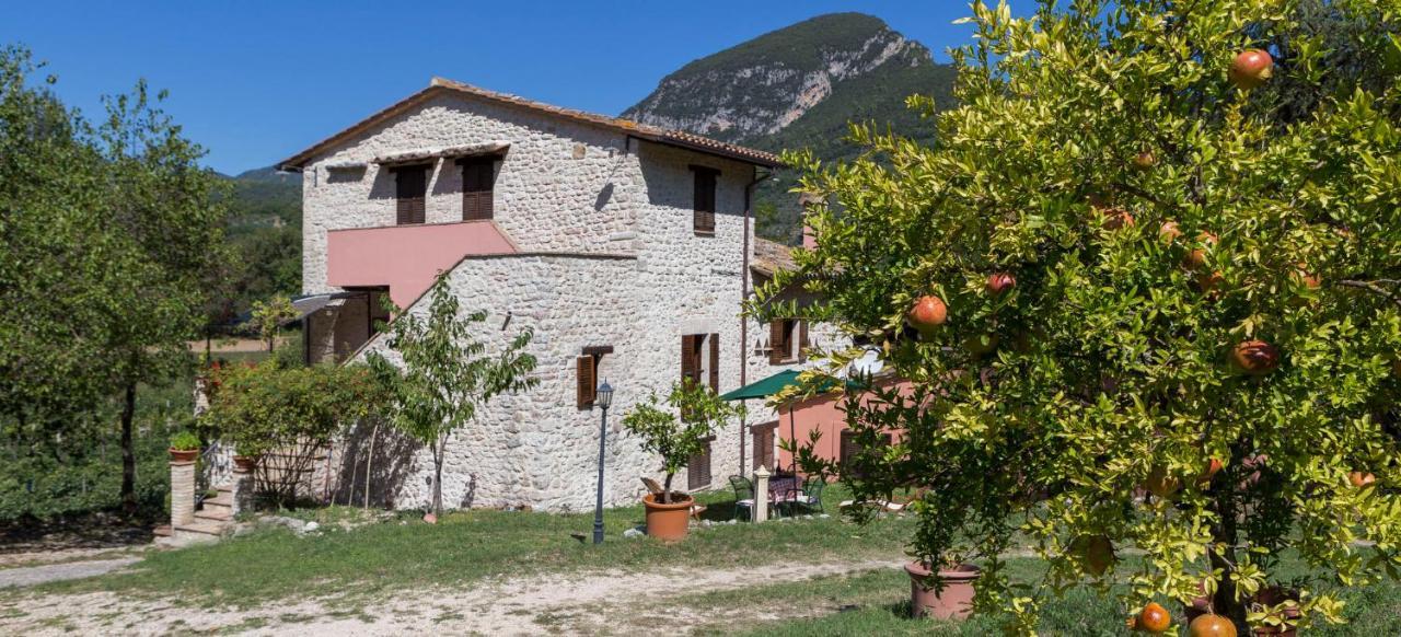 Agriturismo I Melograni Ferentillo Extérieur photo
