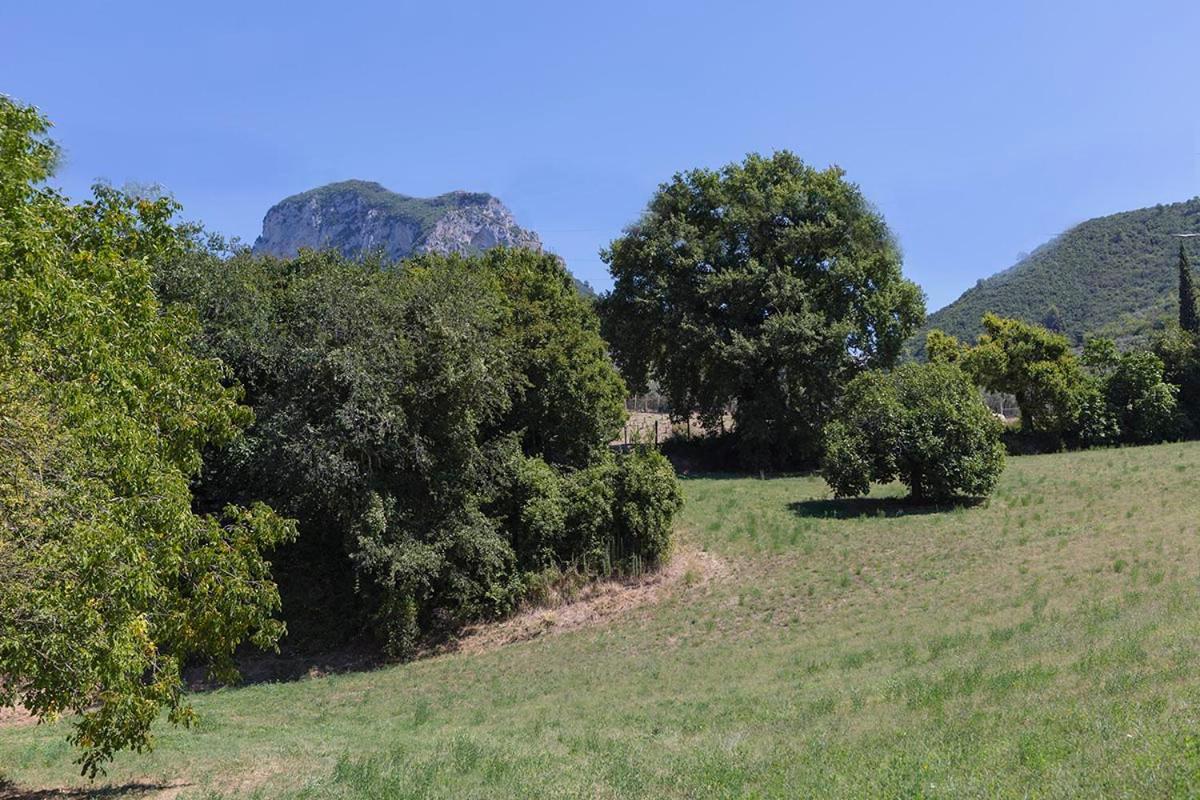 Agriturismo I Melograni Ferentillo Extérieur photo