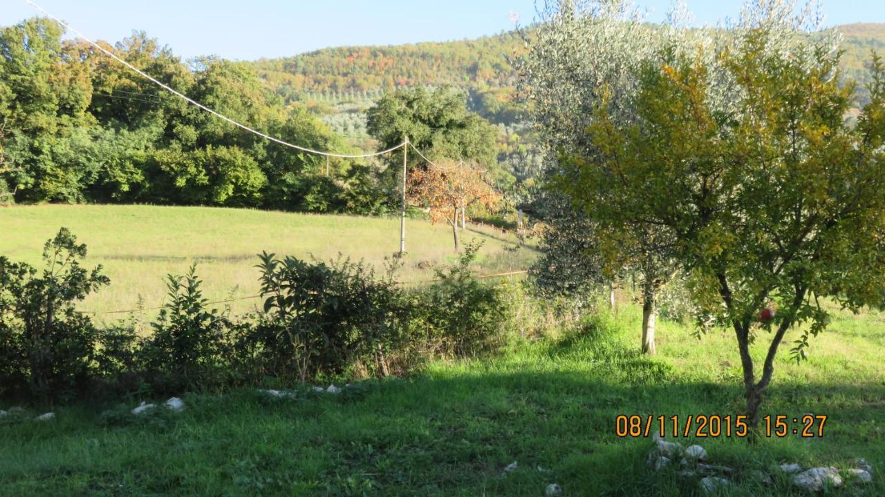 Agriturismo I Melograni Ferentillo Extérieur photo