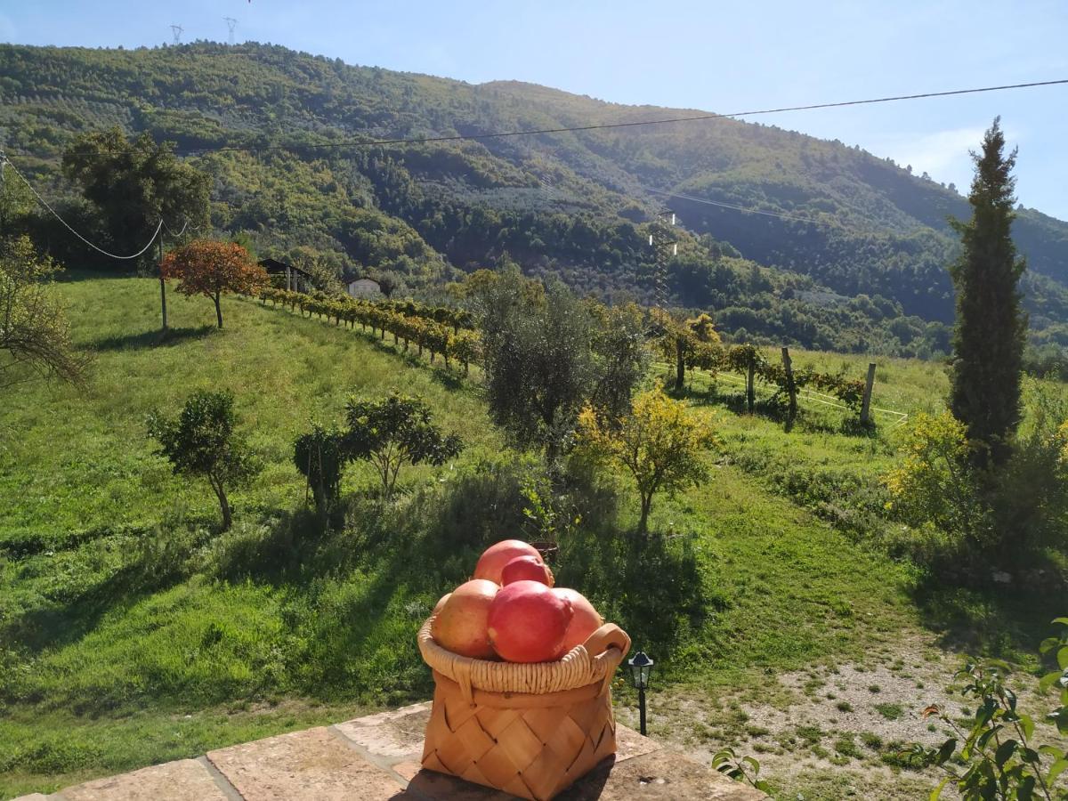 Agriturismo I Melograni Ferentillo Extérieur photo