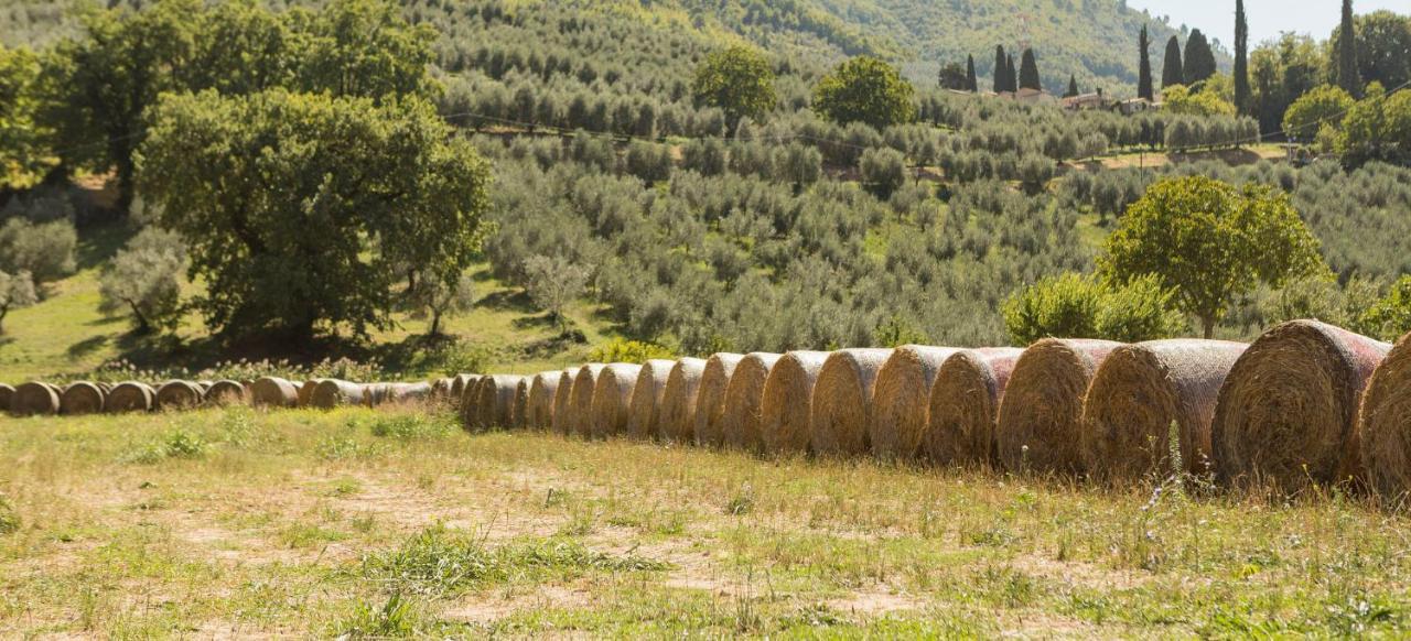Agriturismo I Melograni Ferentillo Extérieur photo