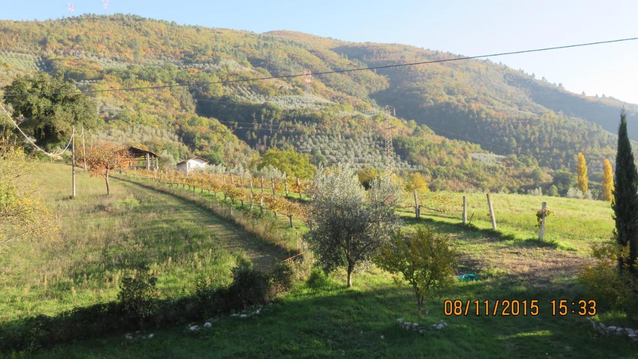 Agriturismo I Melograni Ferentillo Extérieur photo