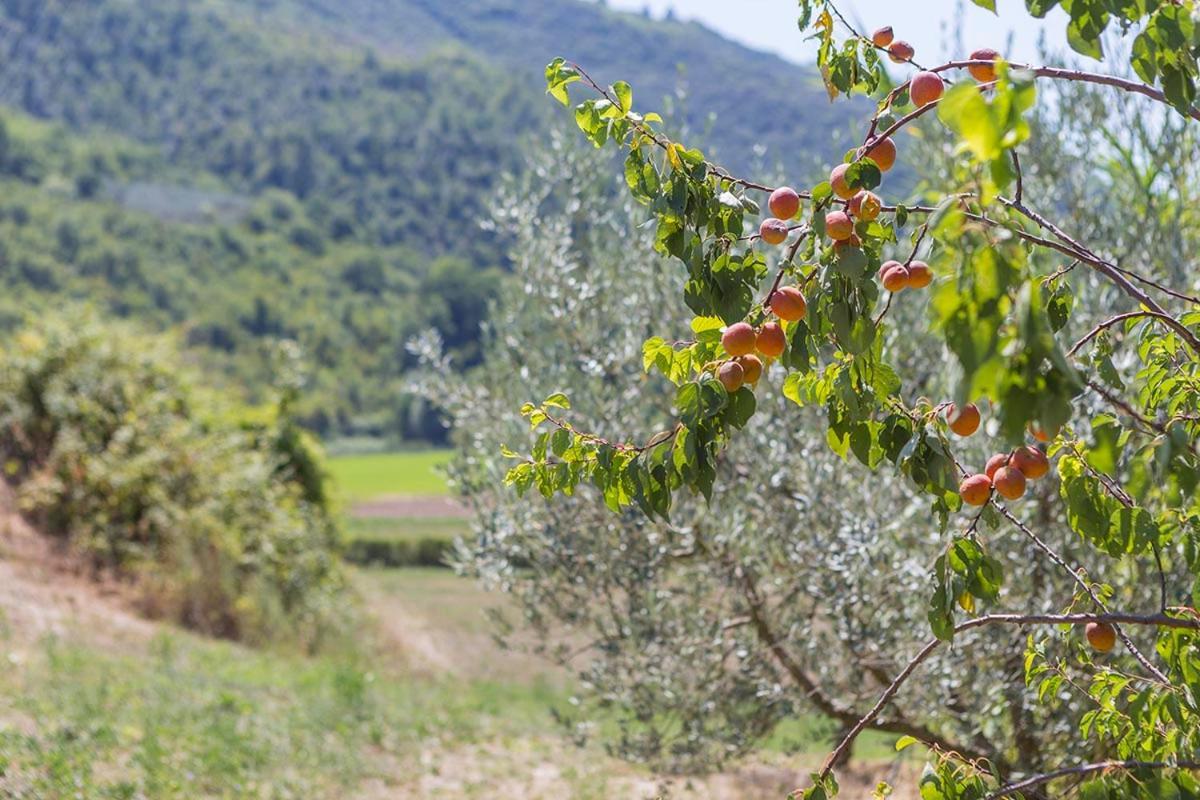 Agriturismo I Melograni Ferentillo Extérieur photo