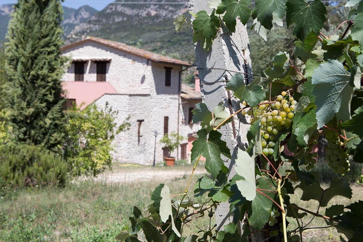 Agriturismo I Melograni Ferentillo Extérieur photo