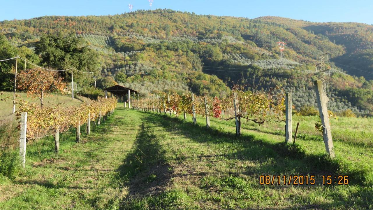 Agriturismo I Melograni Ferentillo Extérieur photo